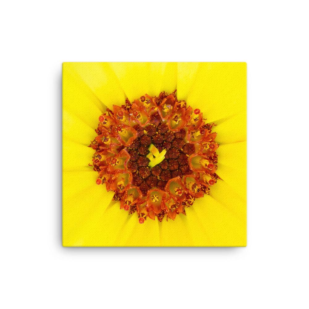 Ringelblume - Leinwand 41x41 cm artlia