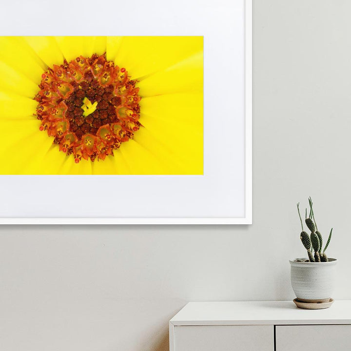Ringelblume - Poster im Rahmen mit Passepartout artlia