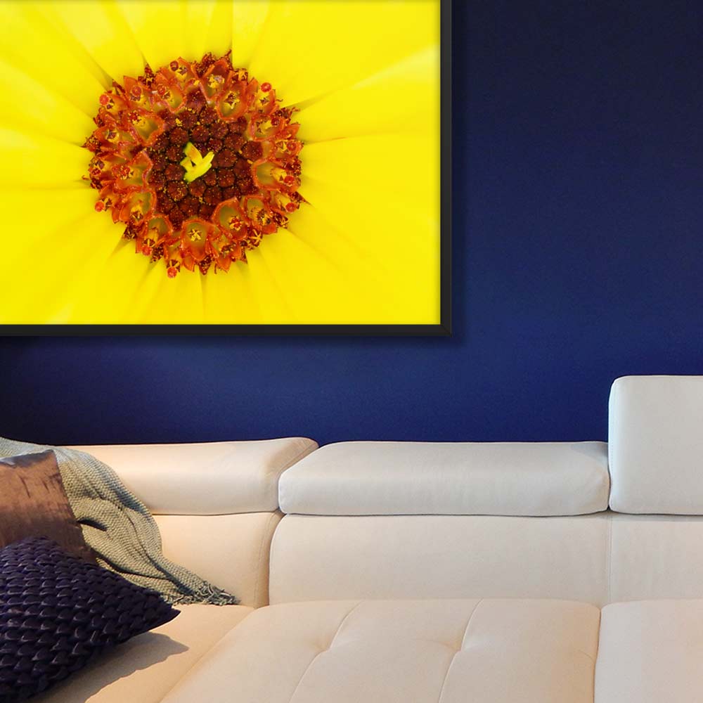 Ringelblume - Poster im Rahmen artlia