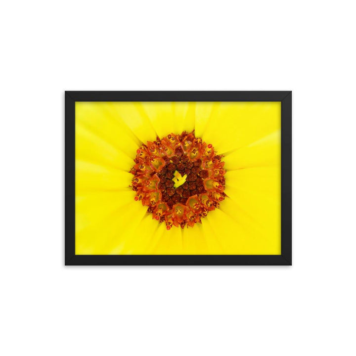 Ringelblume - Poster im Rahmen schwarz / 30x41 cm artlia
