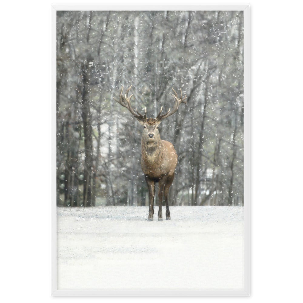 Rotwild im Schnee - Poster artlia