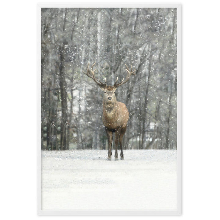 Rotwild im Schnee - Poster artlia
