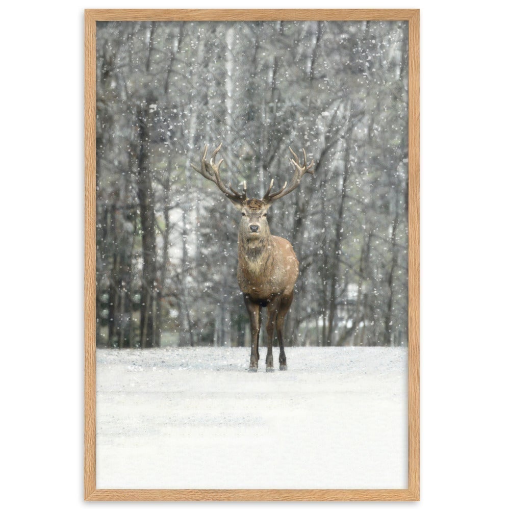 Rotwild im Schnee - Poster artlia