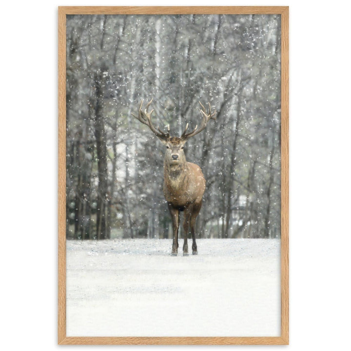 Rotwild im Schnee - Poster artlia