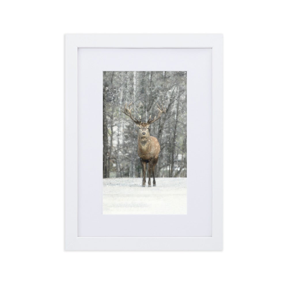 Rotwild im Schnee - Poster im Rahmen mit Passepartout Weiß / 21×30 cm artlia