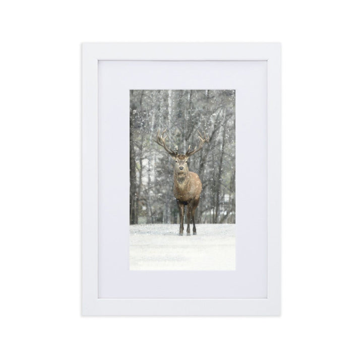 Rotwild im Schnee - Poster im Rahmen mit Passepartout Weiß / 21×30 cm artlia