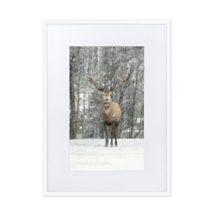 Rotwild im Schnee - Poster im Rahmen mit Passepartout Weiß / 50×70 cm artlia