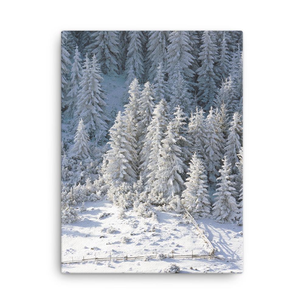 Snow Landscape 3 - Leinwand 30x41 cm artlia