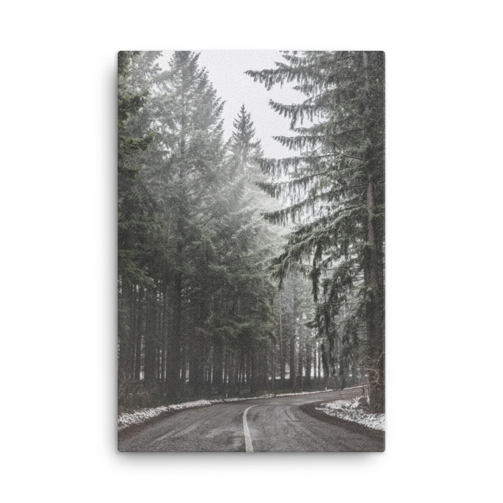 Snow Landscape 6 - Leinwand 61x91 cm artlia