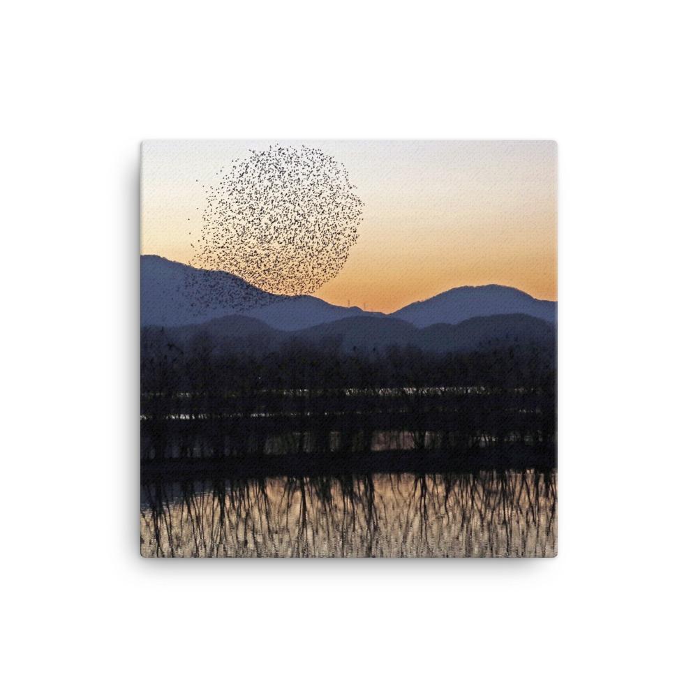 Sonnenuntergang im Junam-Wasserreservoir - Leinwand 30x30 cm artlia