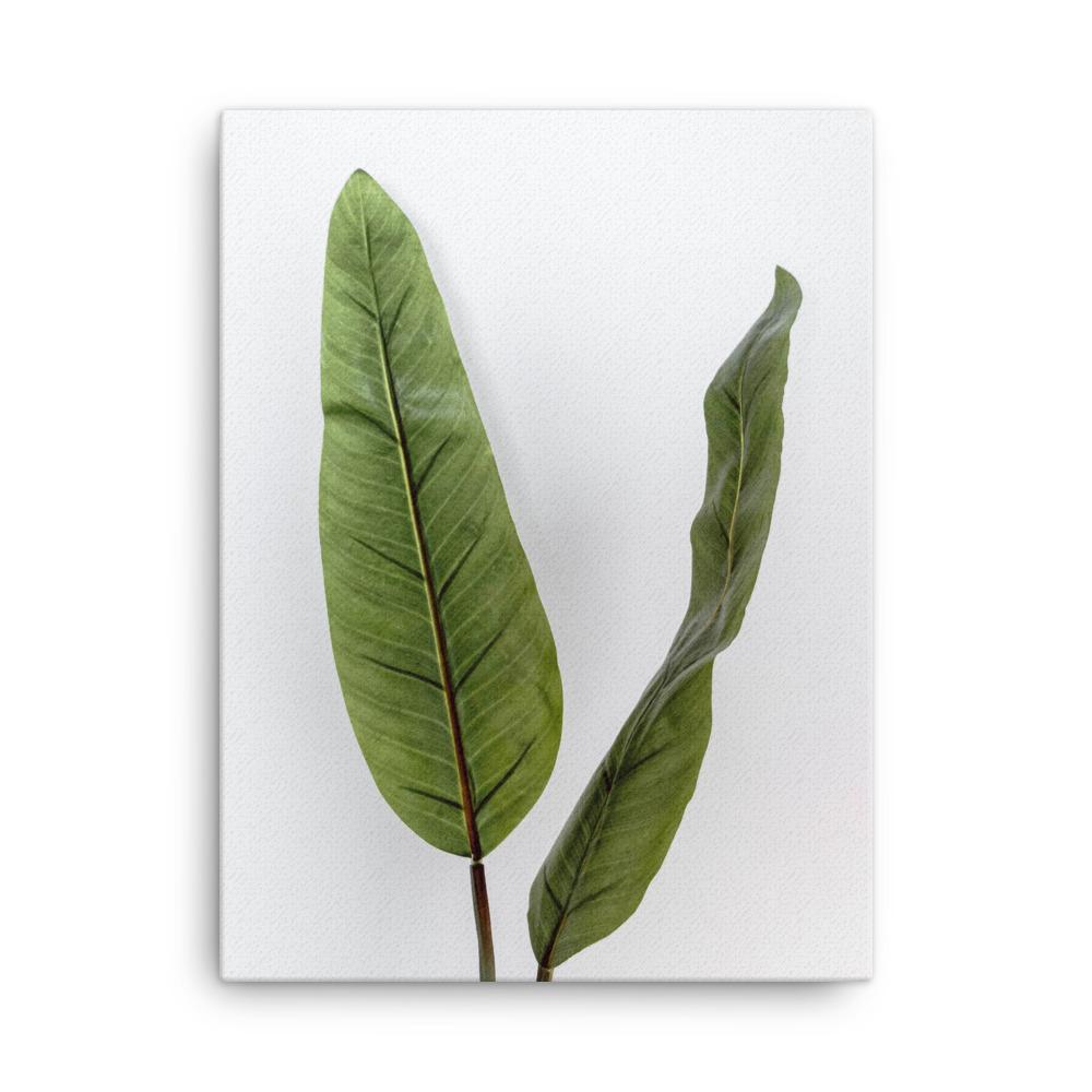 Tropical Leaves - Leinwand 30x41 cm artlia