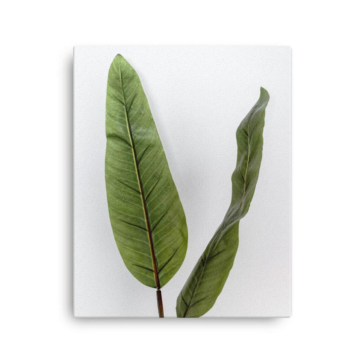 Tropical Leaves - Leinwand 41x51 cm artlia