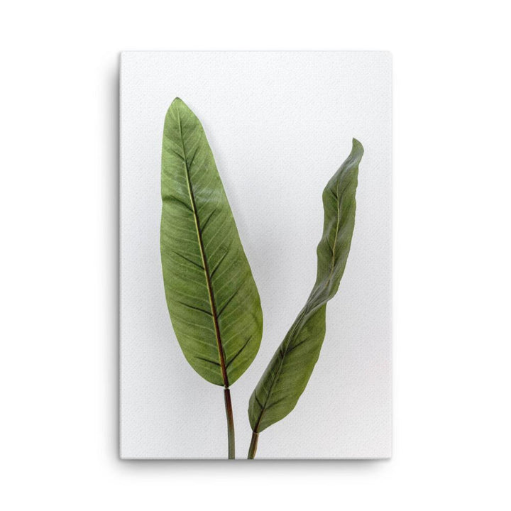 Tropical Leaves - Leinwand 61x91 cm artlia