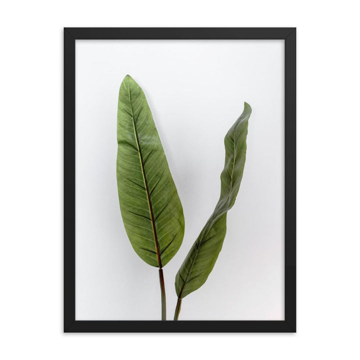 Tropical Leaves - Poster im Rahmen schwarz / 30x41 cm artlia