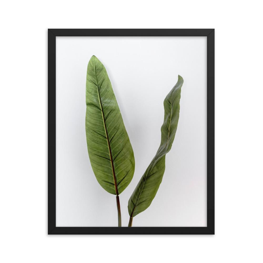 Tropical Leaves - Poster im Rahmen schwarz / 41x51 cm artlia