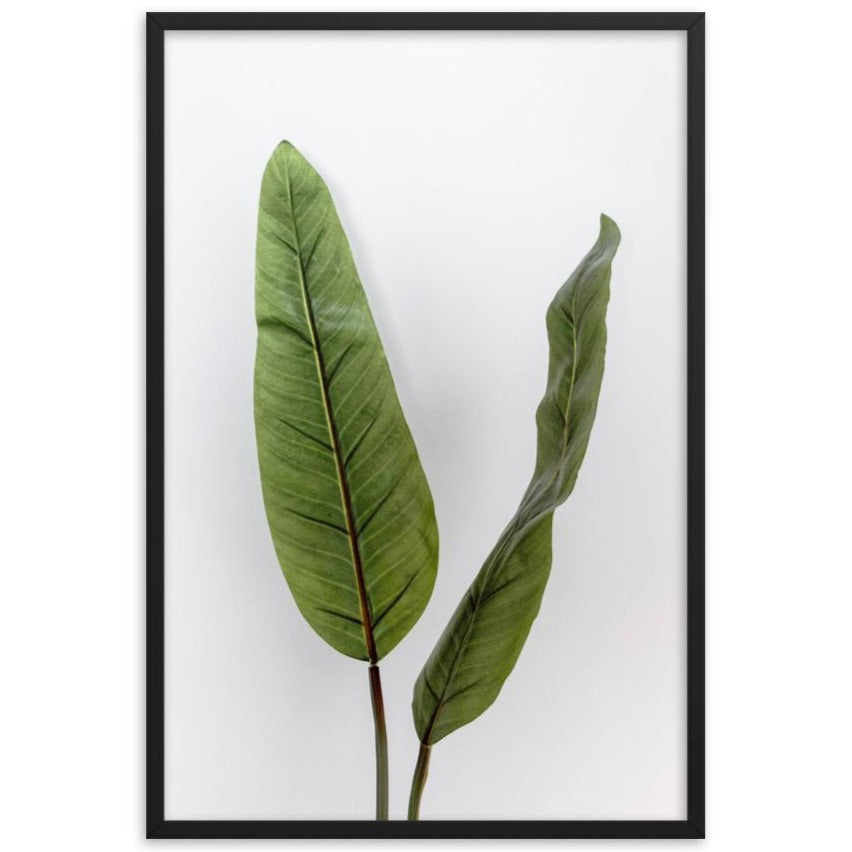 Tropical Leaves - Poster im Rahmen schwarz / 61x91 cm artlia