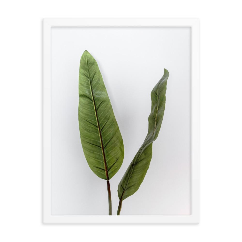Tropical Leaves - Poster im Rahmen weiß / 30x41 cm artlia
