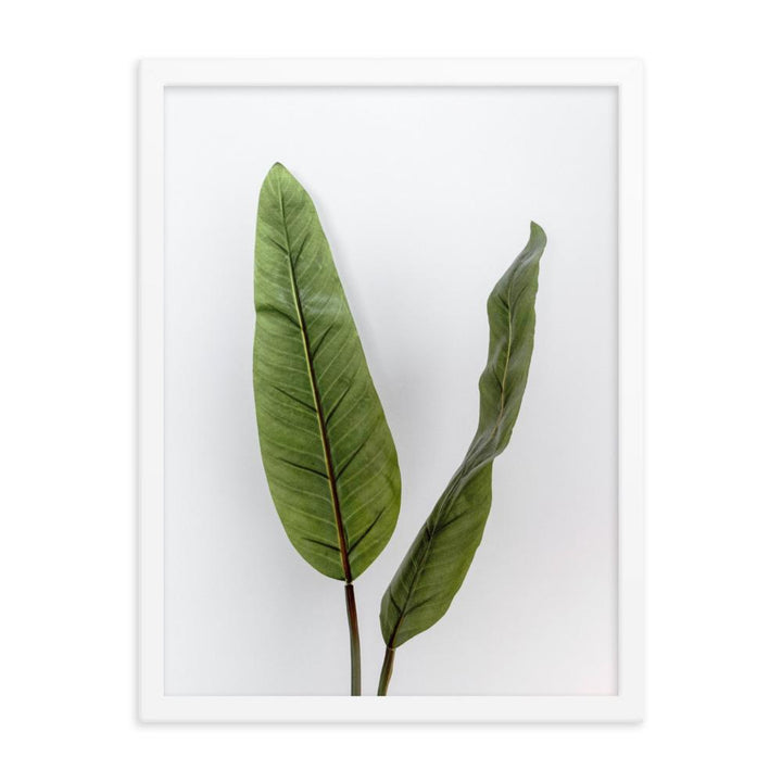Tropical Leaves - Poster im Rahmen weiß / 30x41 cm artlia
