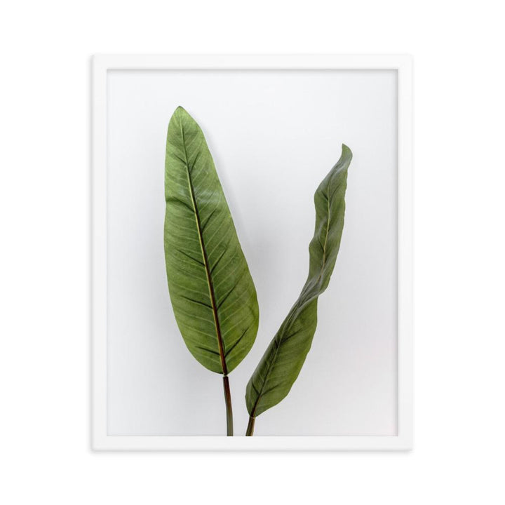 Tropical Leaves - Poster im Rahmen weiß / 41x51 cm artlia