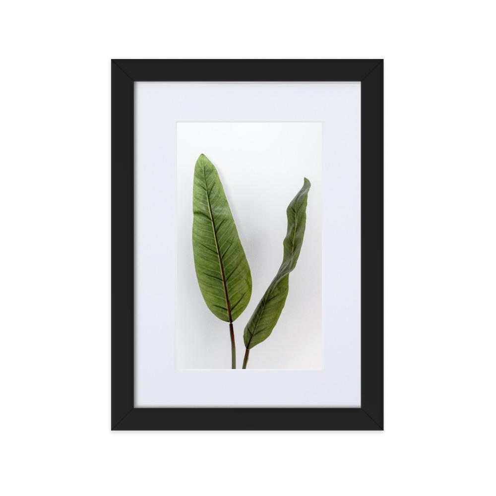 Tropical Leaves - Poster im Rahmen mit Passepartout schwarz / 21×30 cm artlia