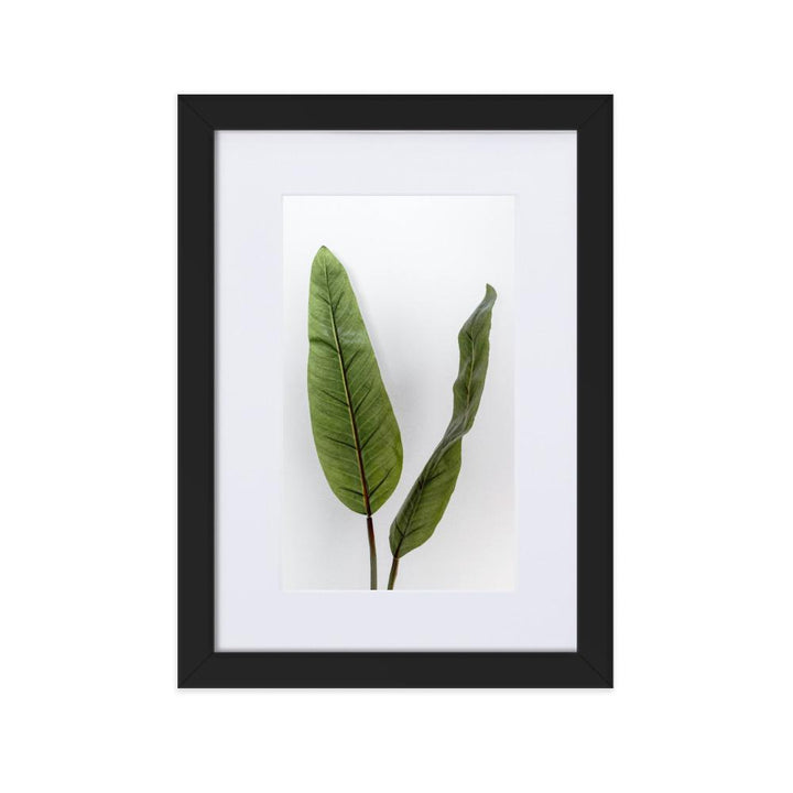 Tropical Leaves - Poster im Rahmen mit Passepartout schwarz / 21×30 cm artlia