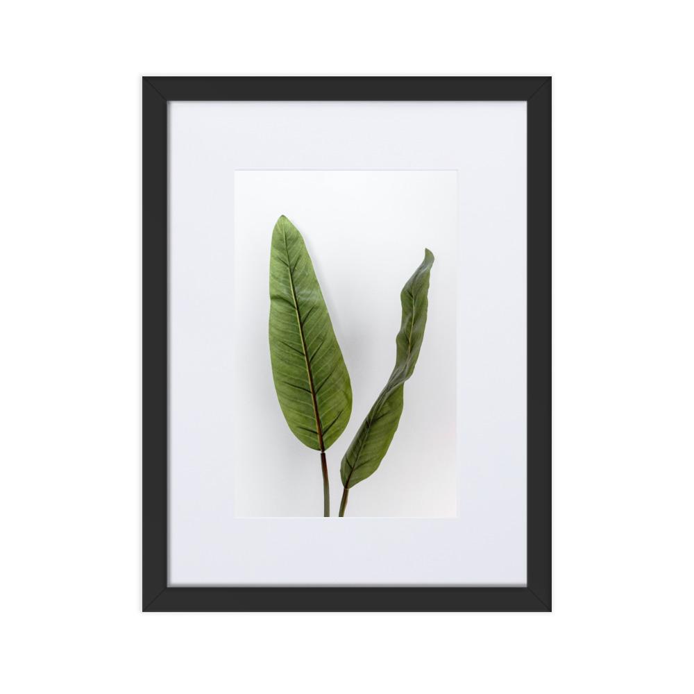 Tropical Leaves - Poster im Rahmen mit Passepartout schwarz / 30×40 cm artlia