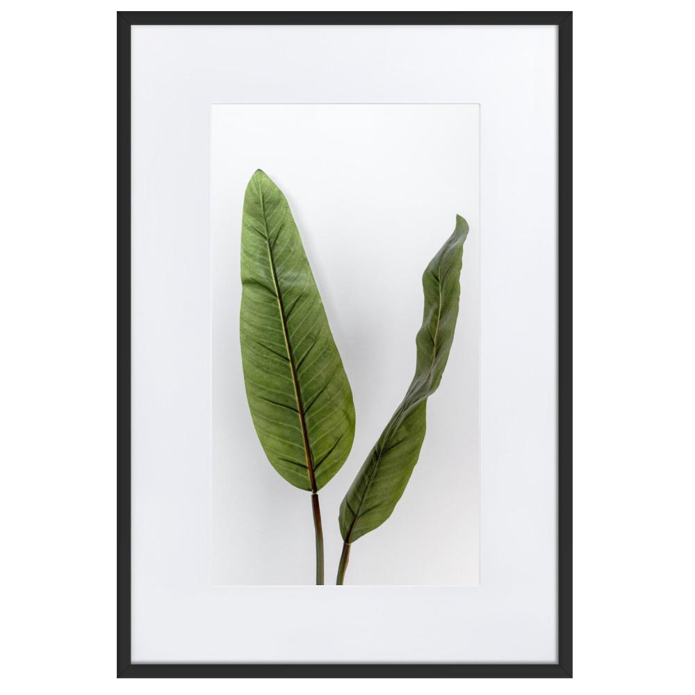 Tropical Leaves - Poster im Rahmen mit Passepartout schwarz / 61×91 cm artlia