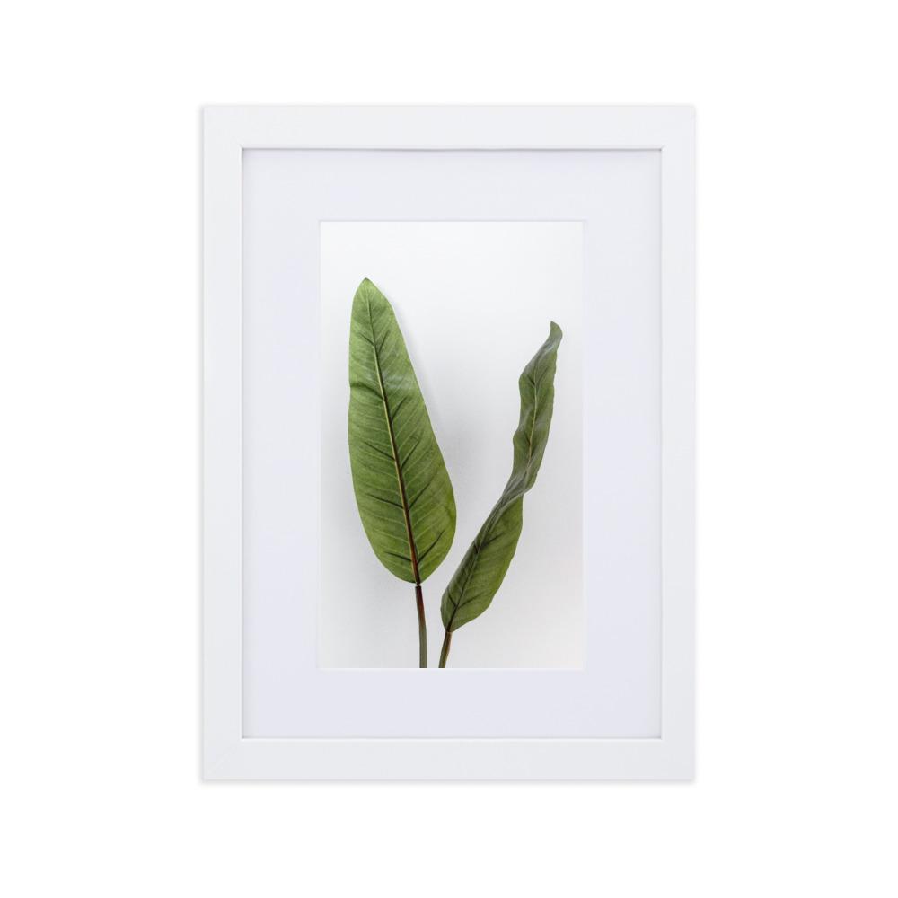 Tropical Leaves - Poster im Rahmen mit Passepartout weiß / 21×30 cm artlia