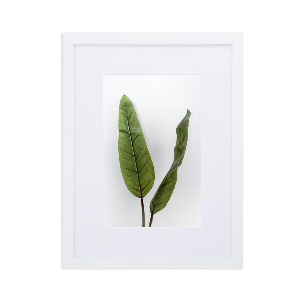 Tropical Leaves - Poster im Rahmen mit Passepartout weiß / 30×40 cm artlia