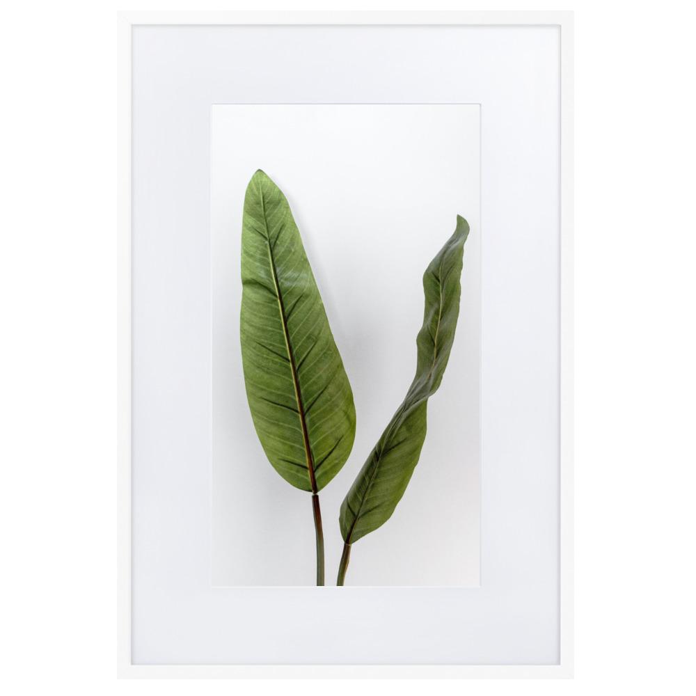 Tropical Leaves - Poster im Rahmen mit Passepartout weiß / 61×91 cm artlia