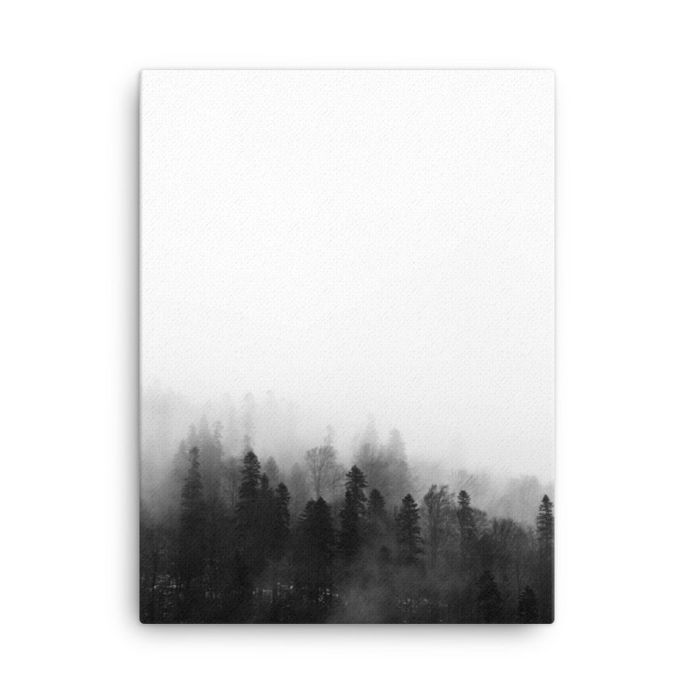 Wald im Nebel - Leinwand 30x41 cm artlia