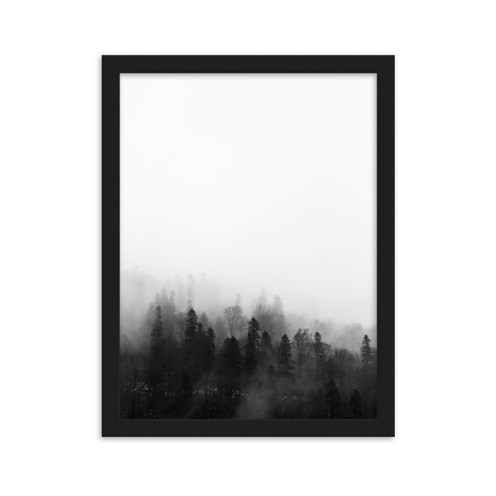 Wald im Nebel - Poster im Rahmen Schwarz / 30×40 cm artlia