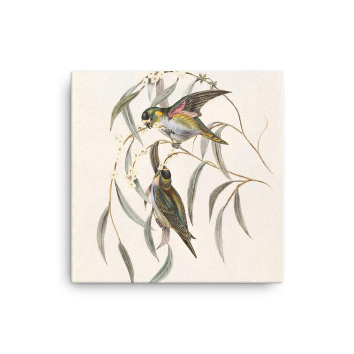 Wellensittich - Leinwand 30x30 cm artlia