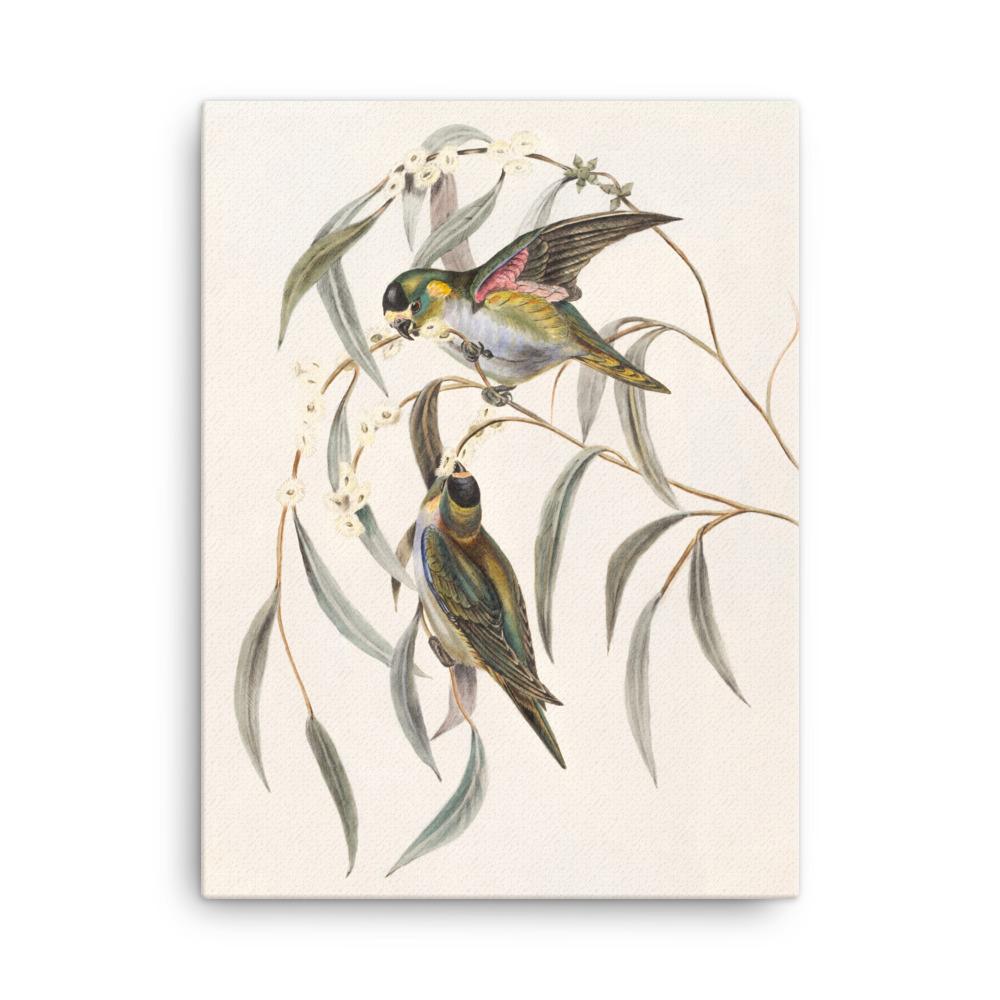 Wellensittich - Leinwand 30x41 cm artlia