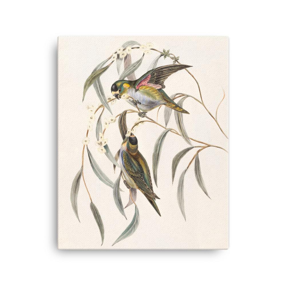 Wellensittich - Leinwand 41x51 cm artlia