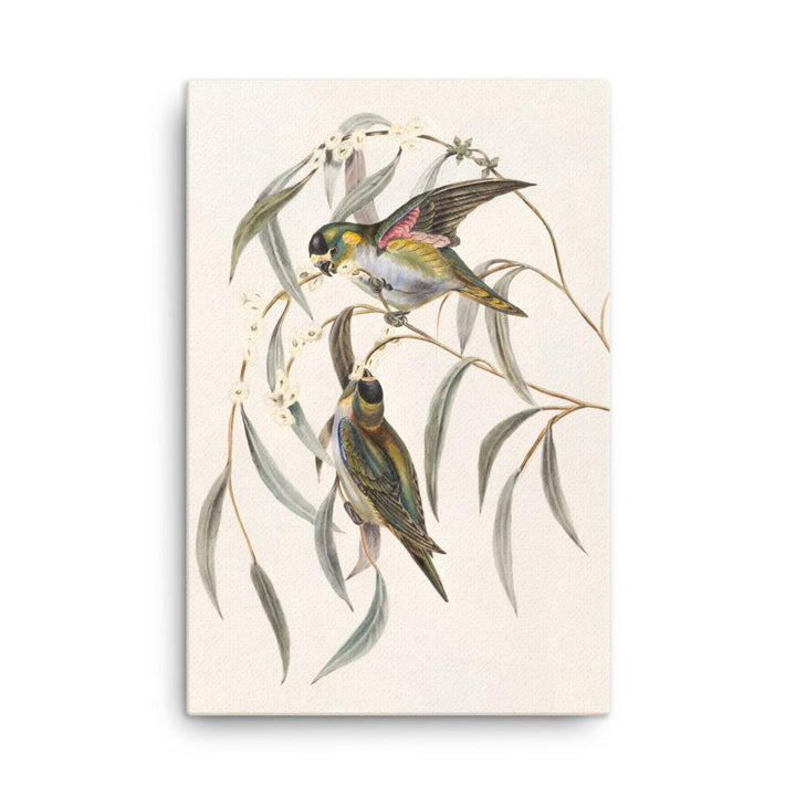 Wellensittich - Leinwand 61x91 cm artlia