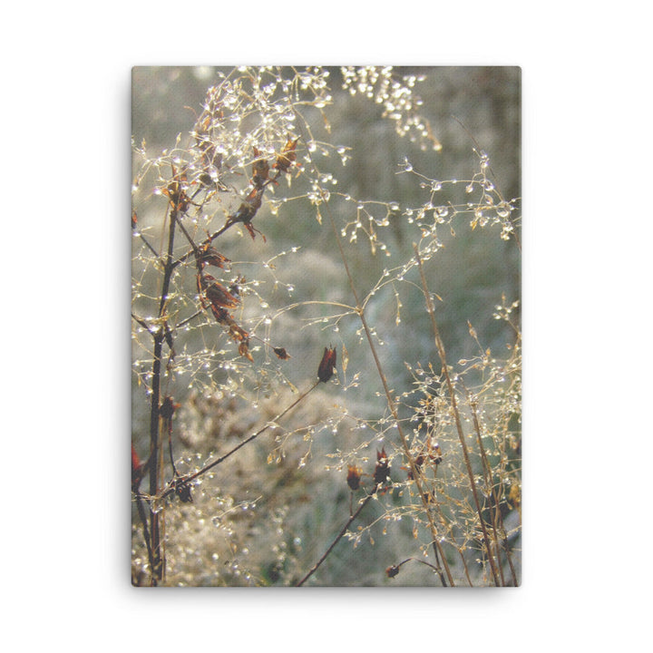 Winter Dews - Leinwand 30x41 cm artlia