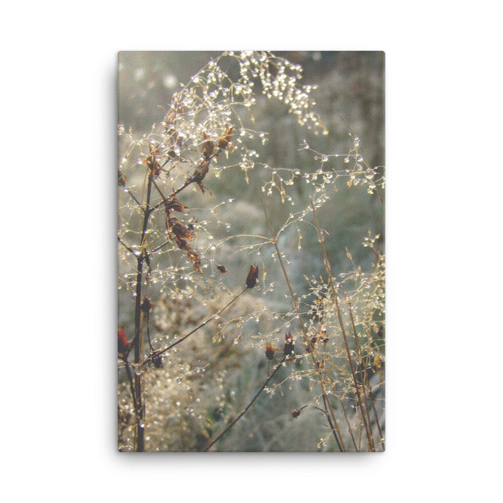 Winter Dews - Leinwand 61x91 cm artlia