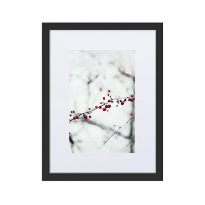 Winterbeeren - Poster im Rahmen mit Passepartout Schwarz / 30×40 cm artlia