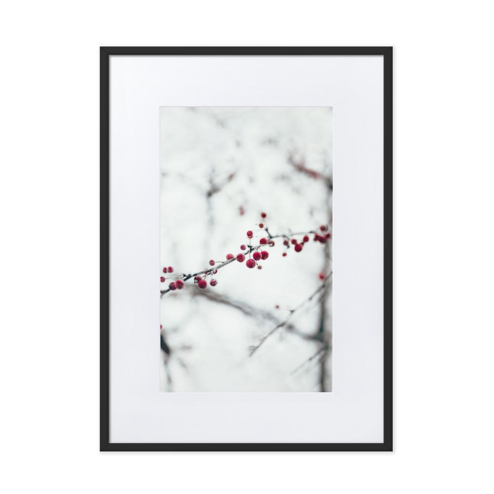 Winterbeeren - Poster im Rahmen mit Passepartout Schwarz / 50×70 cm artlia