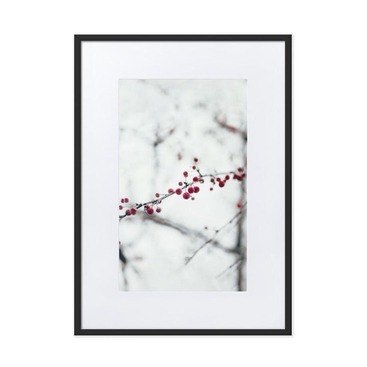 Winterbeeren - Poster im Rahmen mit Passepartout Schwarz / 50×70 cm artlia