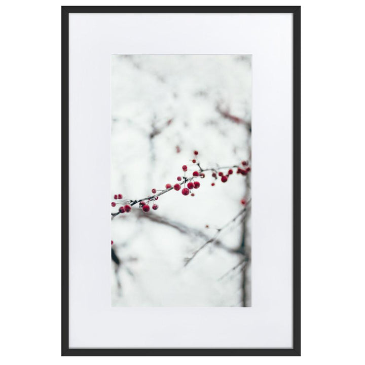 Winterbeeren - Poster im Rahmen mit Passepartout artlia