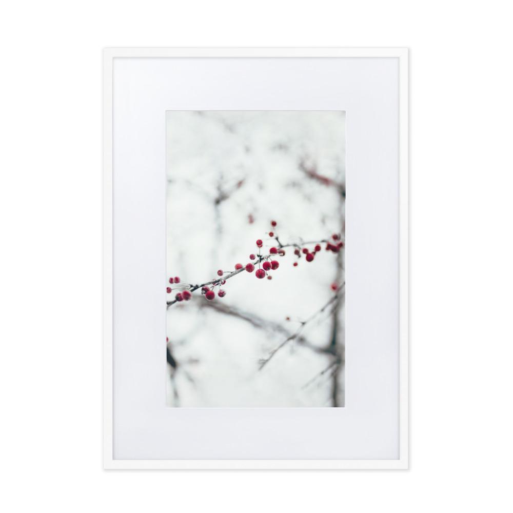 Winterbeeren - Poster im Rahmen mit Passepartout Weiß / 50×70 cm artlia