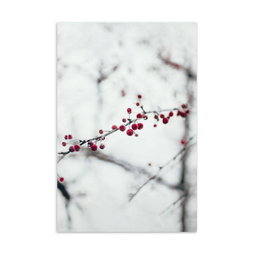 Winterbeeren Winterberries - Postkarte artlia