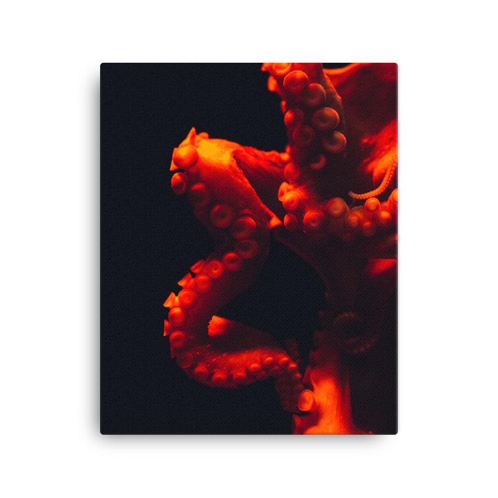 Wütender Oktopus - Leinwand 41x51 cm artlia