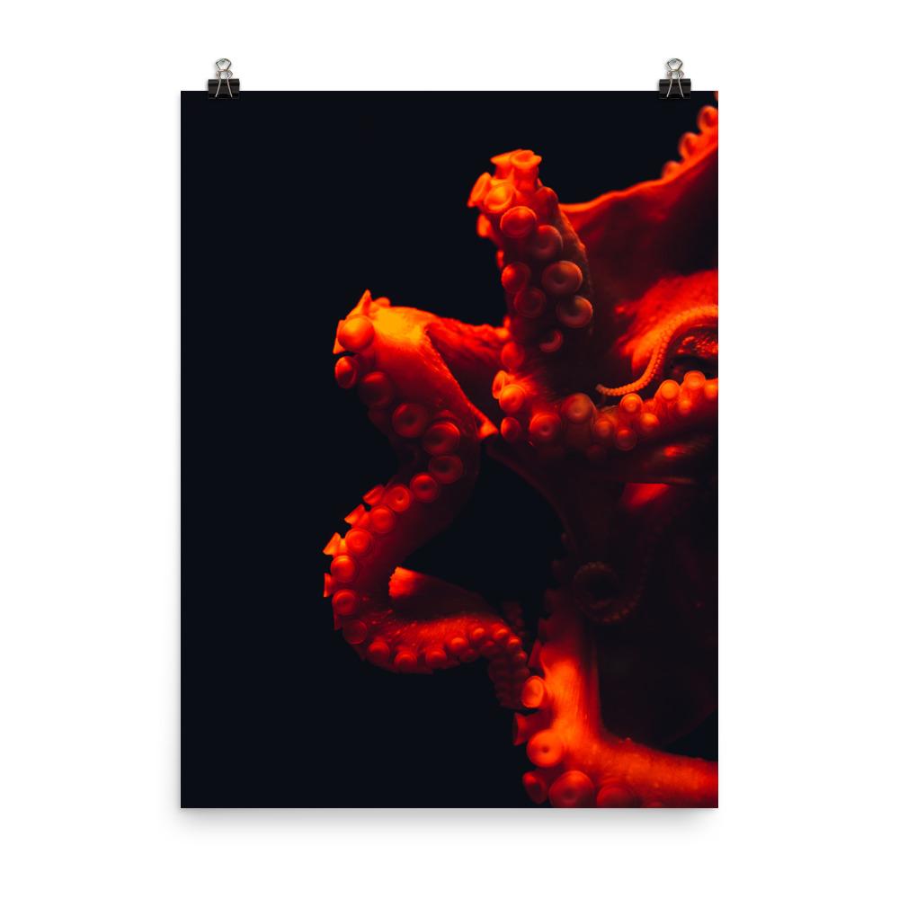 Poster - Wütender Oktopus 30x41 cm artlia