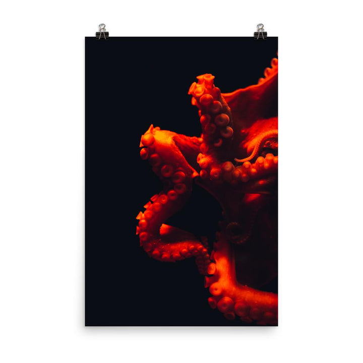 Poster - Wütender Oktopus 30x45 cm artlia