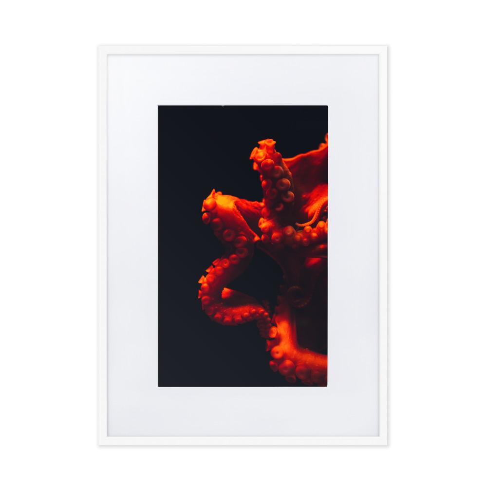 Wütender Oktopus - Poster im Rahmen mit Passepartout weiß / 50×70 cm artlia