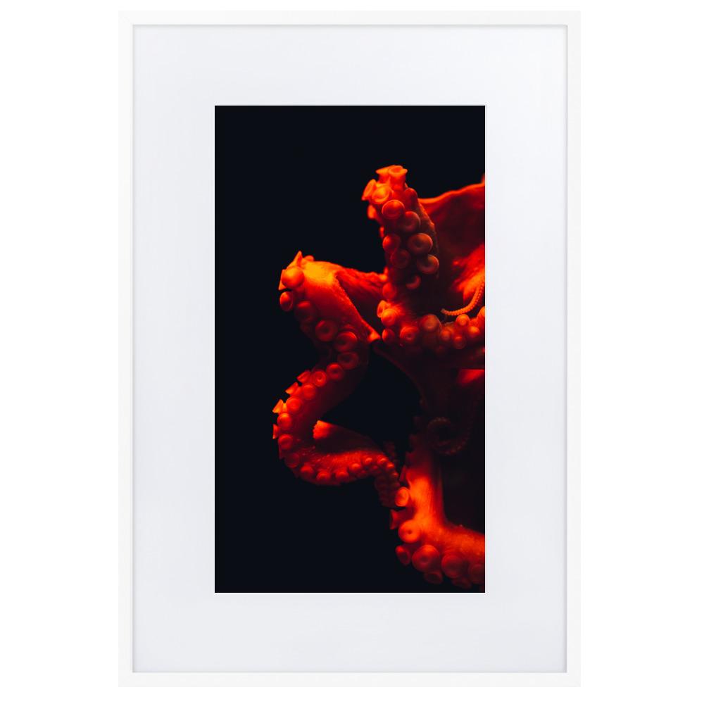Wütender Oktopus - Poster im Rahmen mit Passepartout weiß / 61×91 cm artlia
