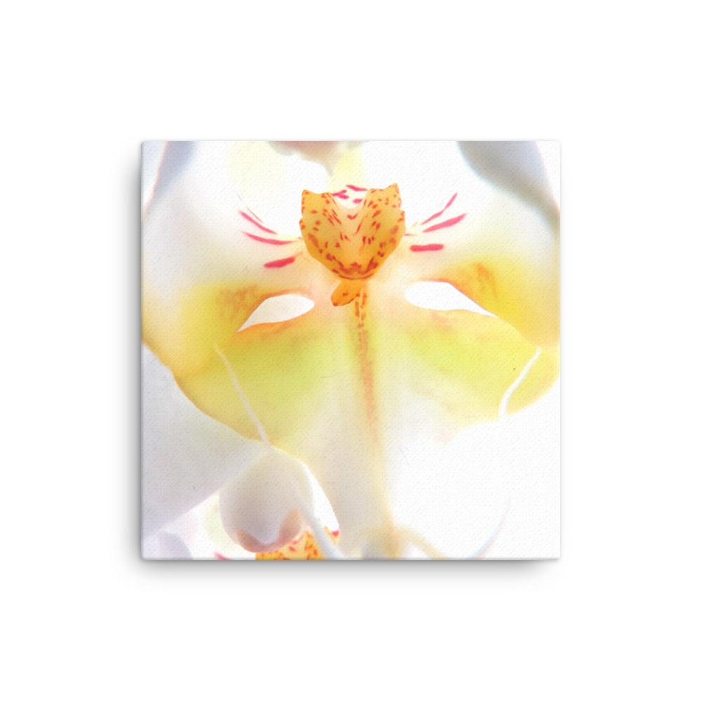 Yellow Orchid - Leinwand 30x30 cm artlia